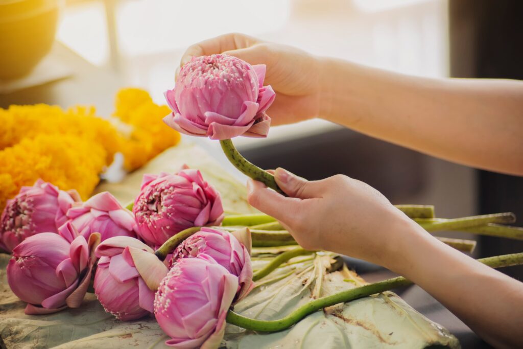Lotus Petal Folding Experience